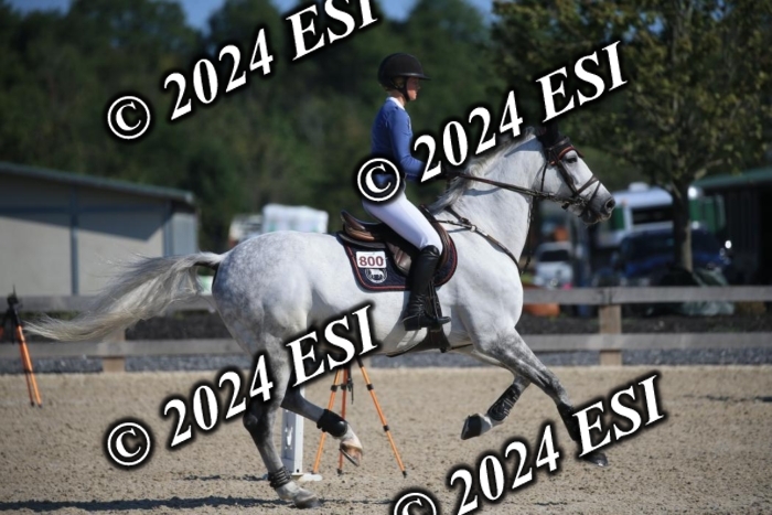 264IMGL5362