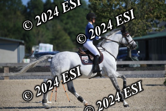 264IMGL5363