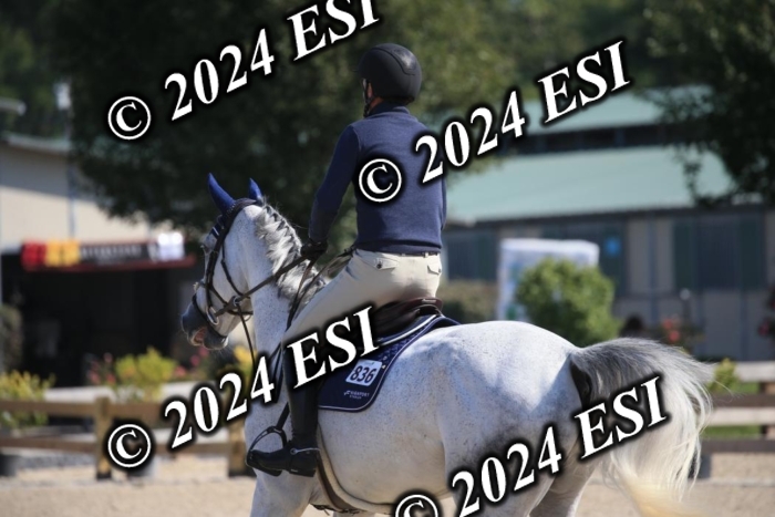 264IMGL5426