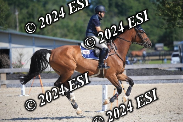 264IMGL5471