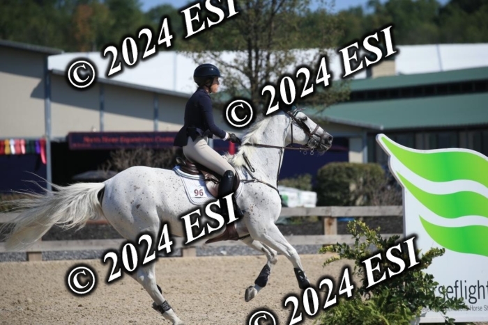 264IMGL5491