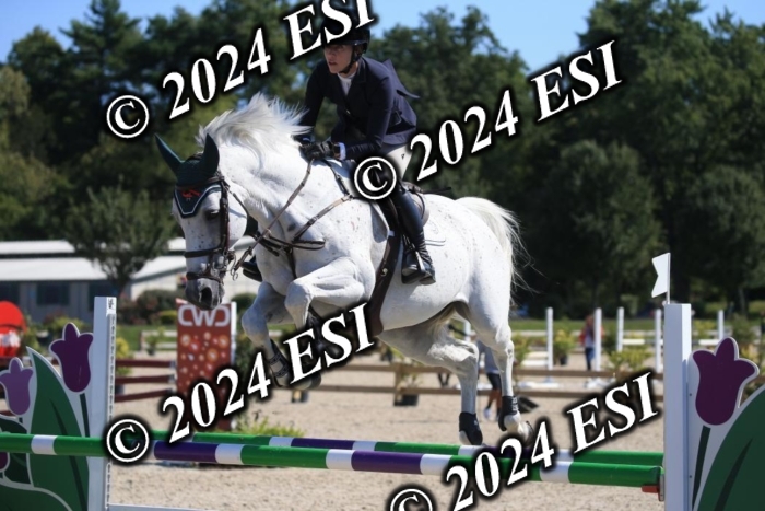 264IMGL5494