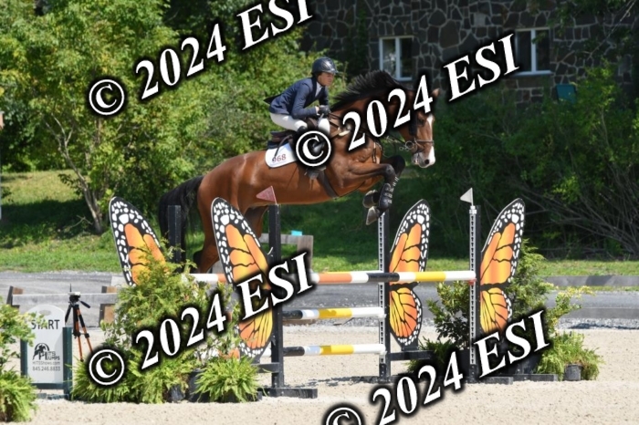 220DK1_2290