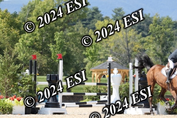 721DI1_1455