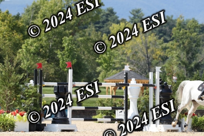 721DI1_1487