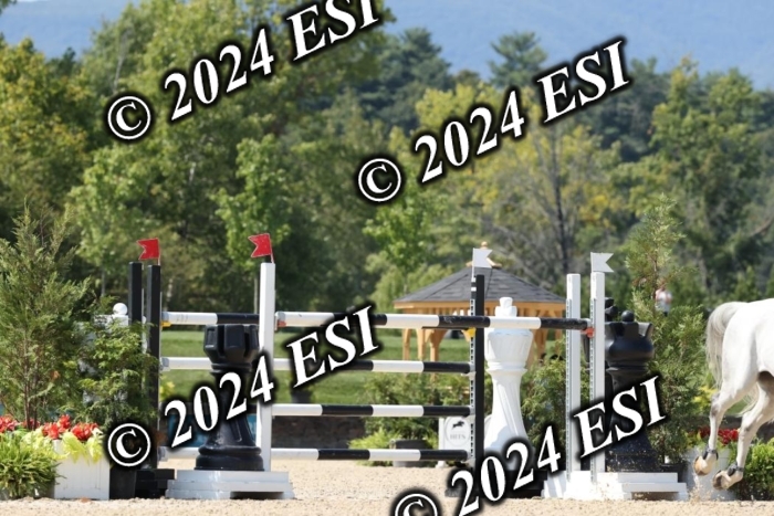 721DI1_1488