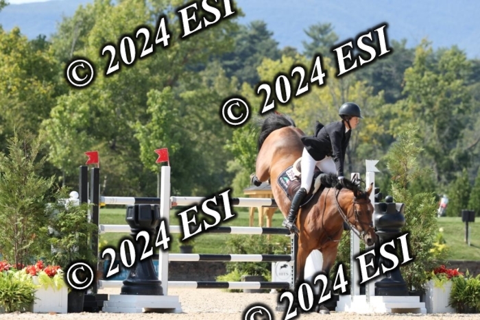 721DI1_1874