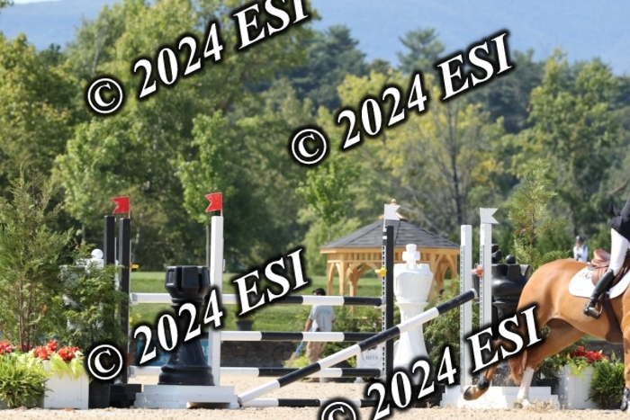 721DI1_2050