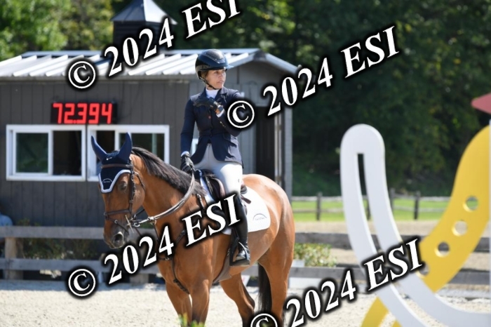 888220DK1_2256
