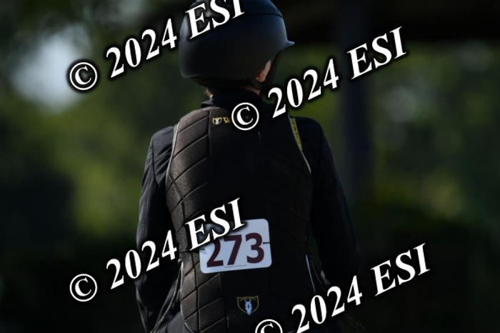 617DK1_2545