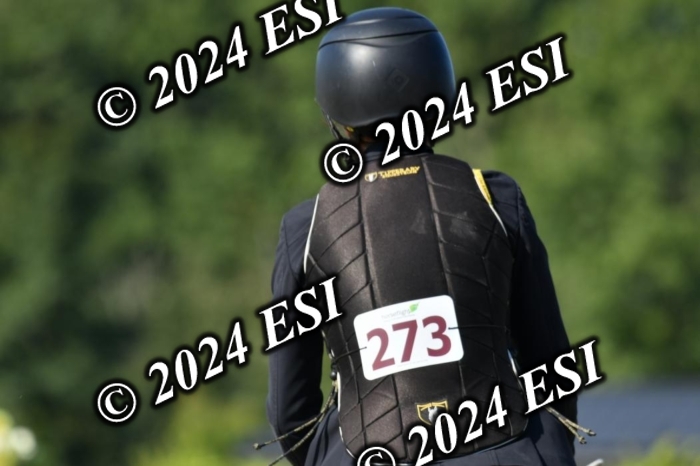 617DK1_2567
