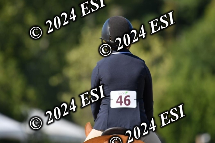 617DK1_2586