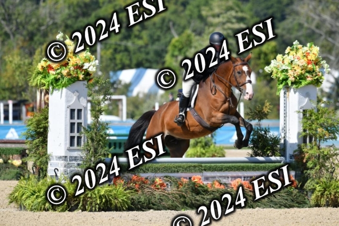 617DK1_2602