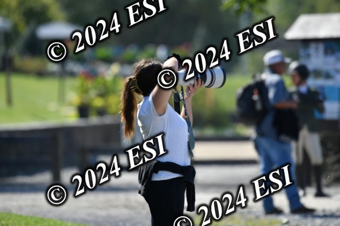 617DK1_2664