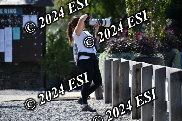 617DK1_2665