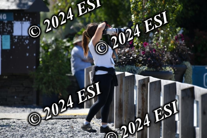 617DK1_2666