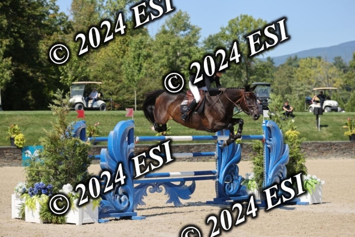 722GAB19536
