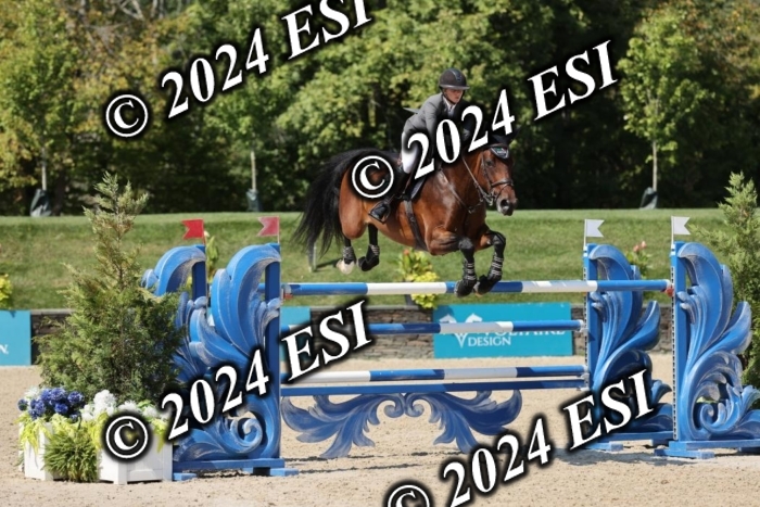 722GAB19590