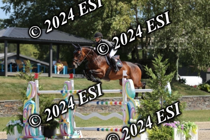 722GAB19592