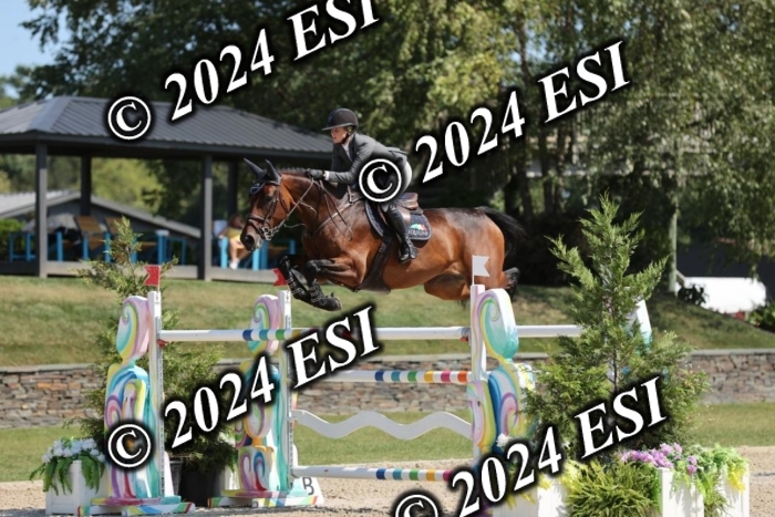 722GAB19593