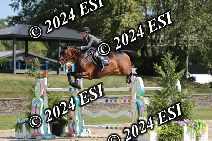 722GAB19594