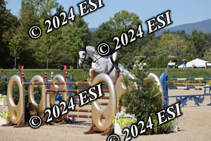 722GAB19596