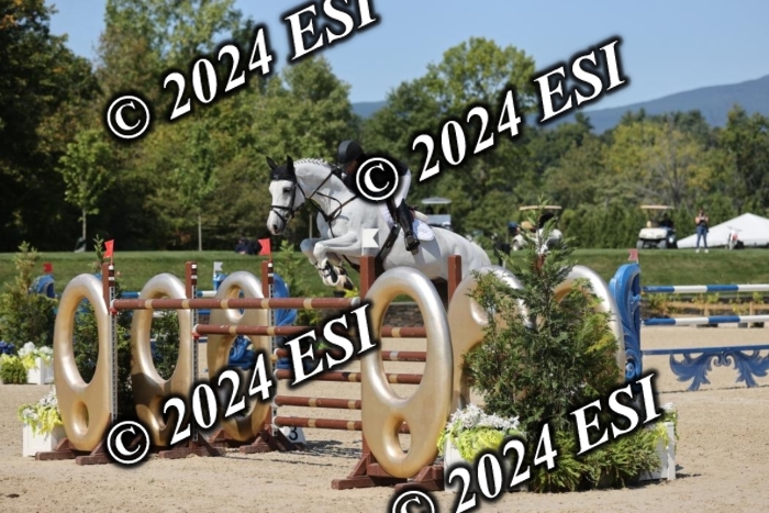 722GAB19597