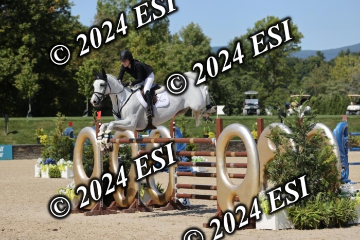 722GAB19601