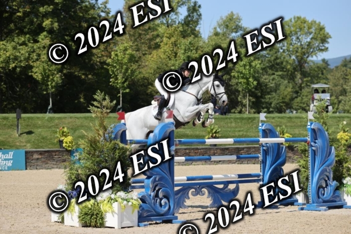 722GAB19602