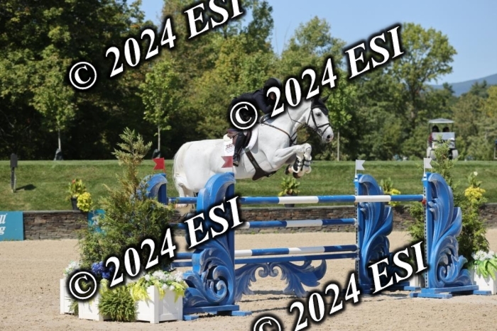 722GAB19603