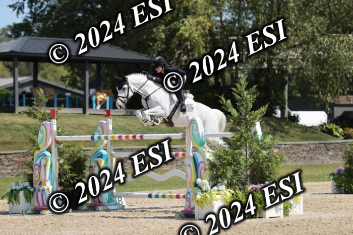 722GAB19607