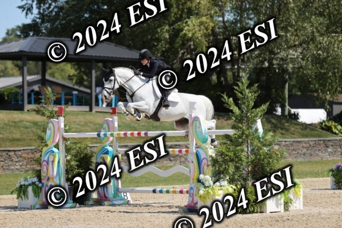722GAB19608