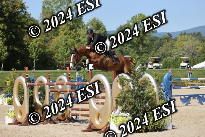 722GAB19613
