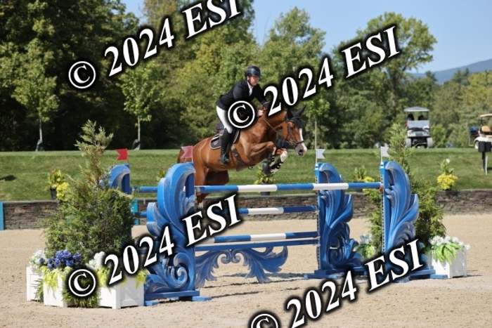 722GAB19617