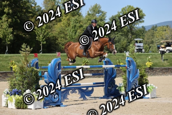 722GAB19619