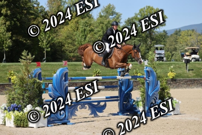 722GAB19620