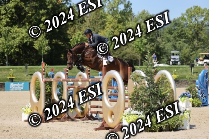 722GAB19624