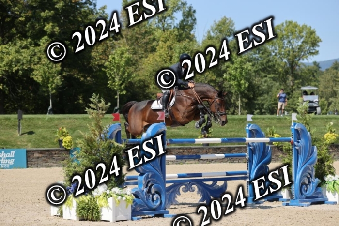722GAB19629