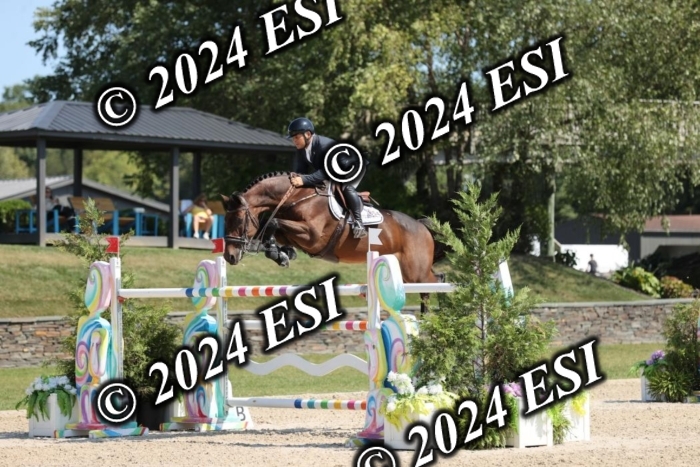 722GAB19631