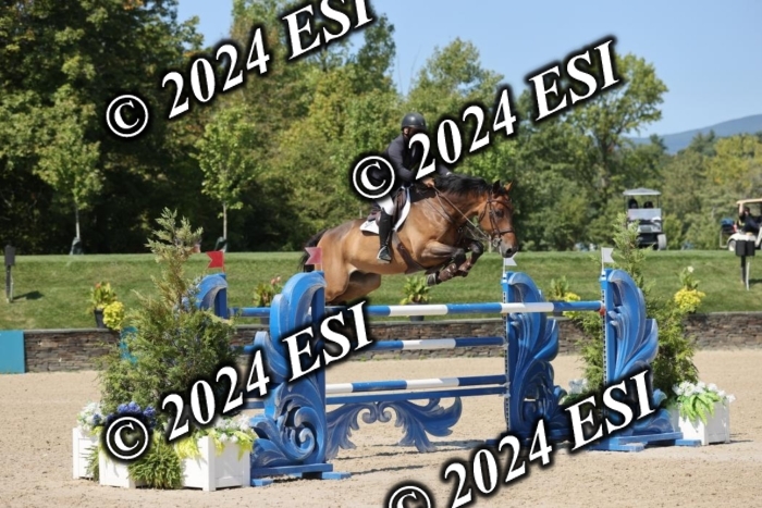 722GAB19642