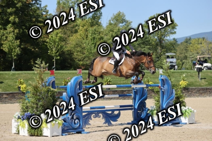 722GAB19644