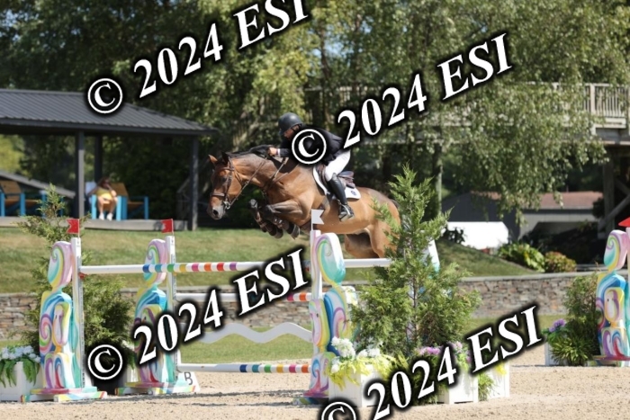 722GAB19645