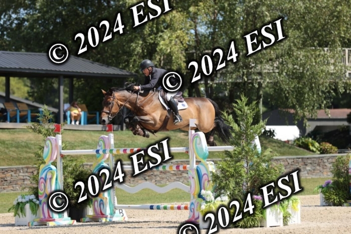722GAB19647