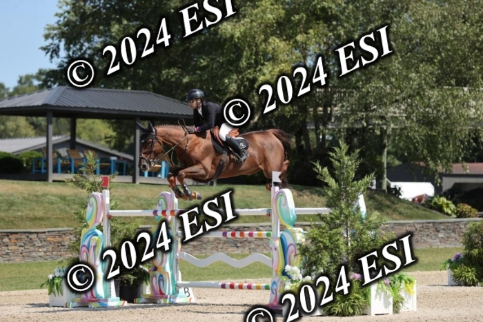 722GAB19660