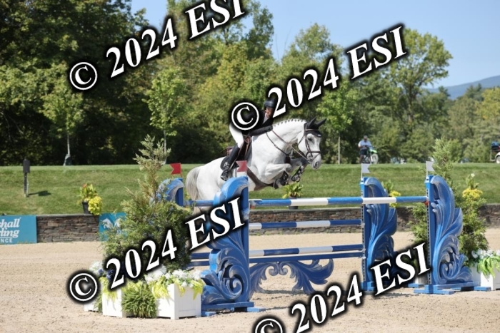 722GAB19703