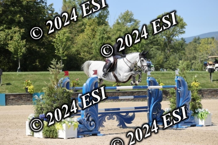 722GAB19705