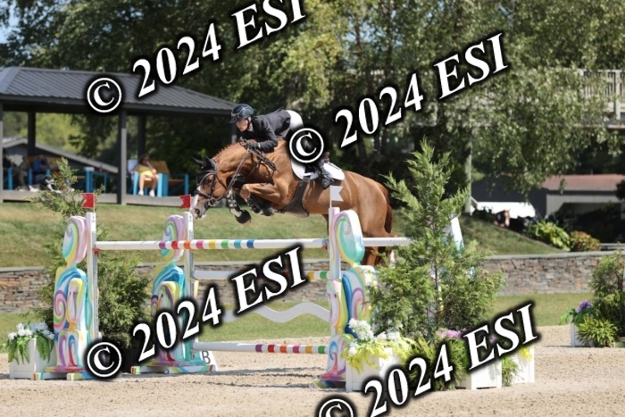 722GAB19733