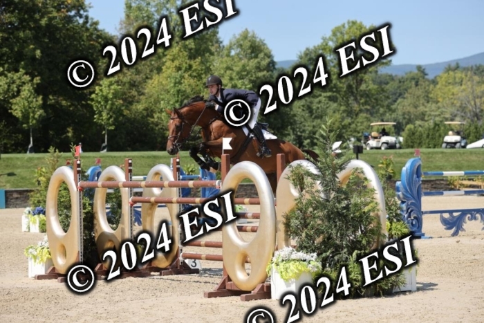722GAB19748