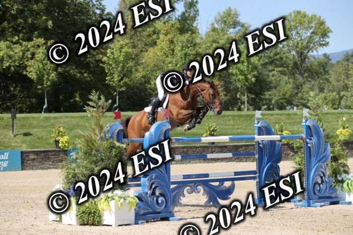 722GAB19751