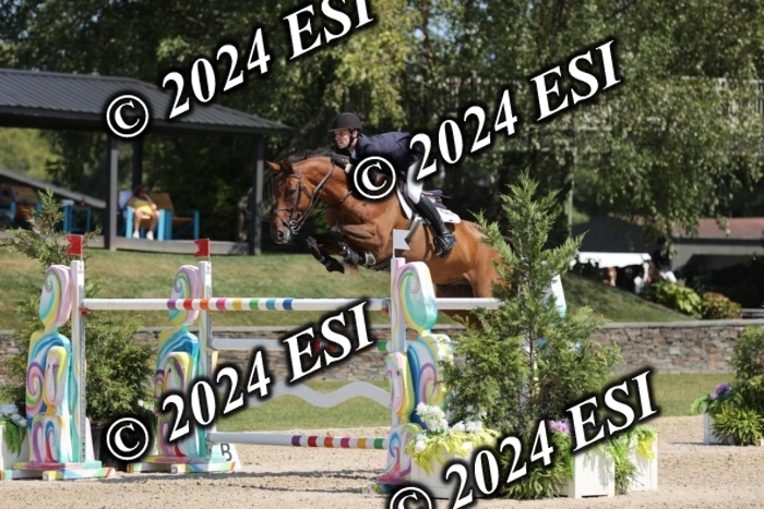 722GAB19754